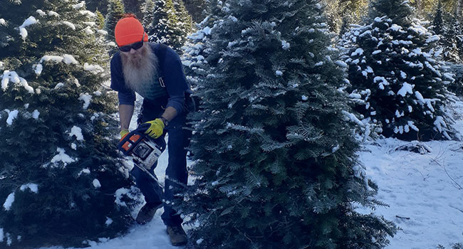 Property Cleanup in Sandpoint, ID